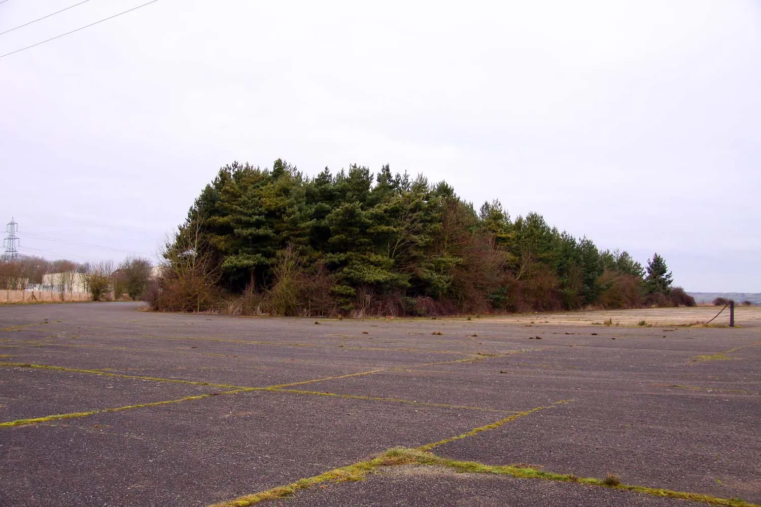 Photo showing: Copse on the former Oakley Airfield