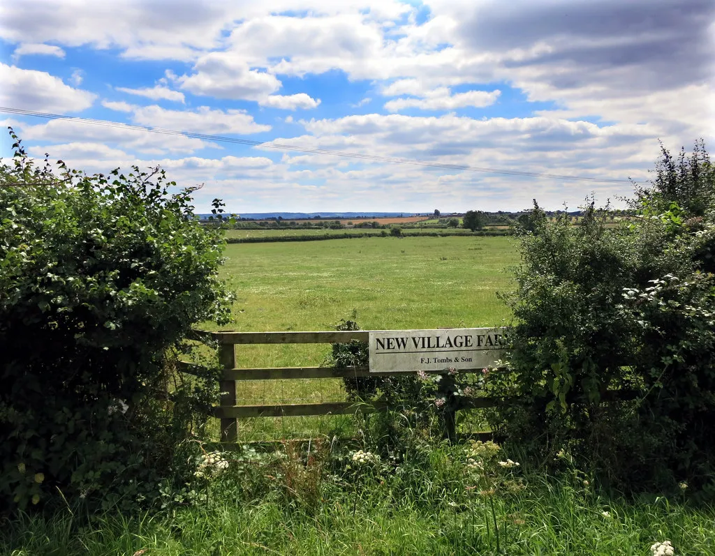 Photo showing: Fields at New Village Farm