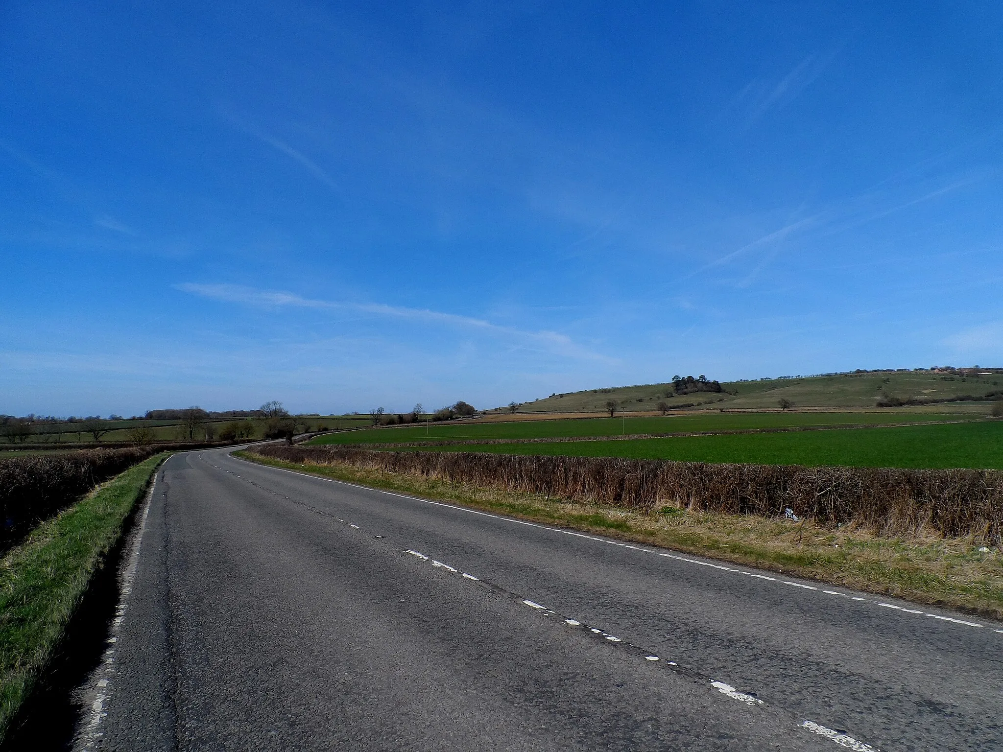 Photo showing: B4011 near to Boarstall Wood