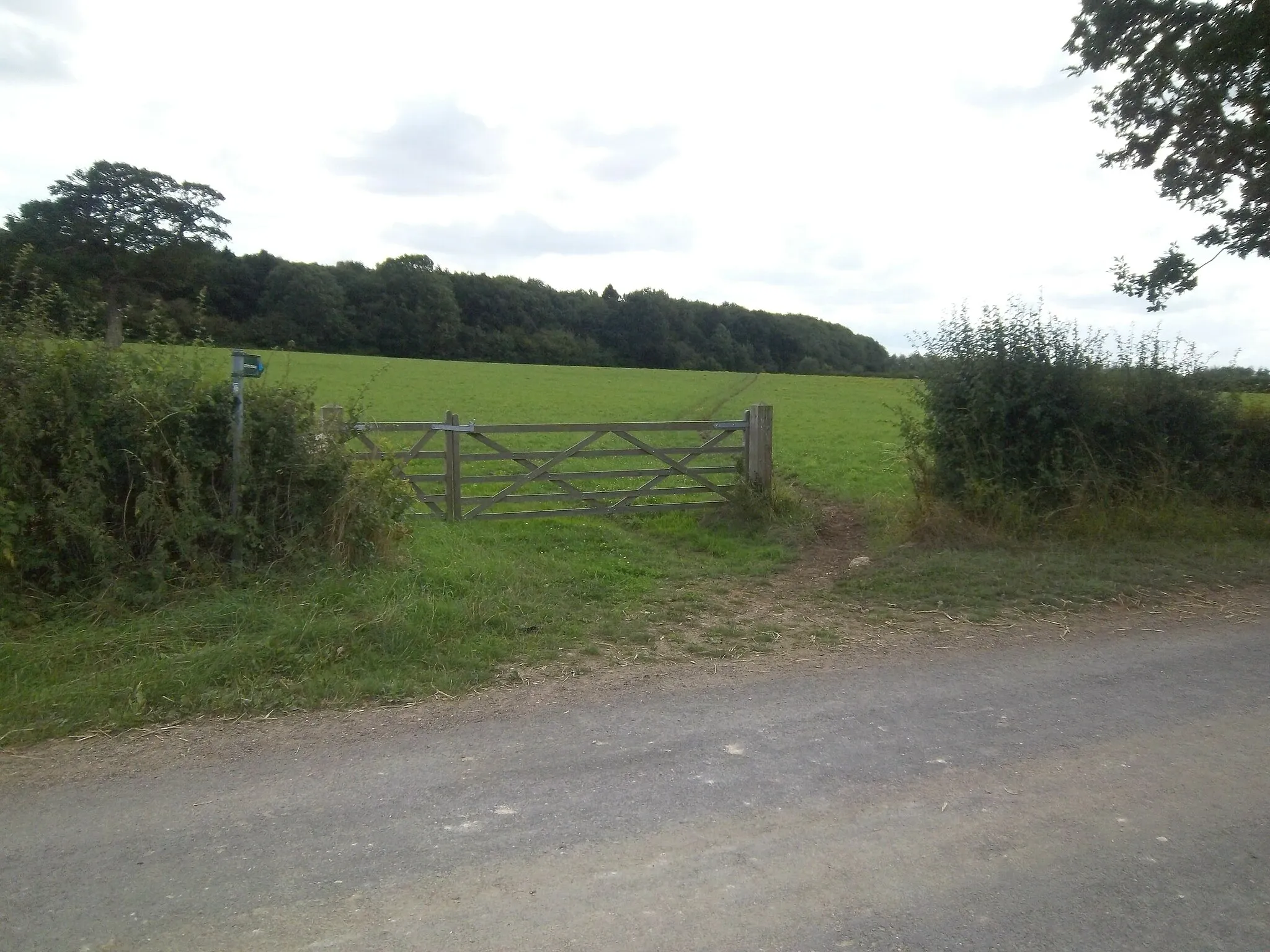 Photo showing: Bridleway meets road