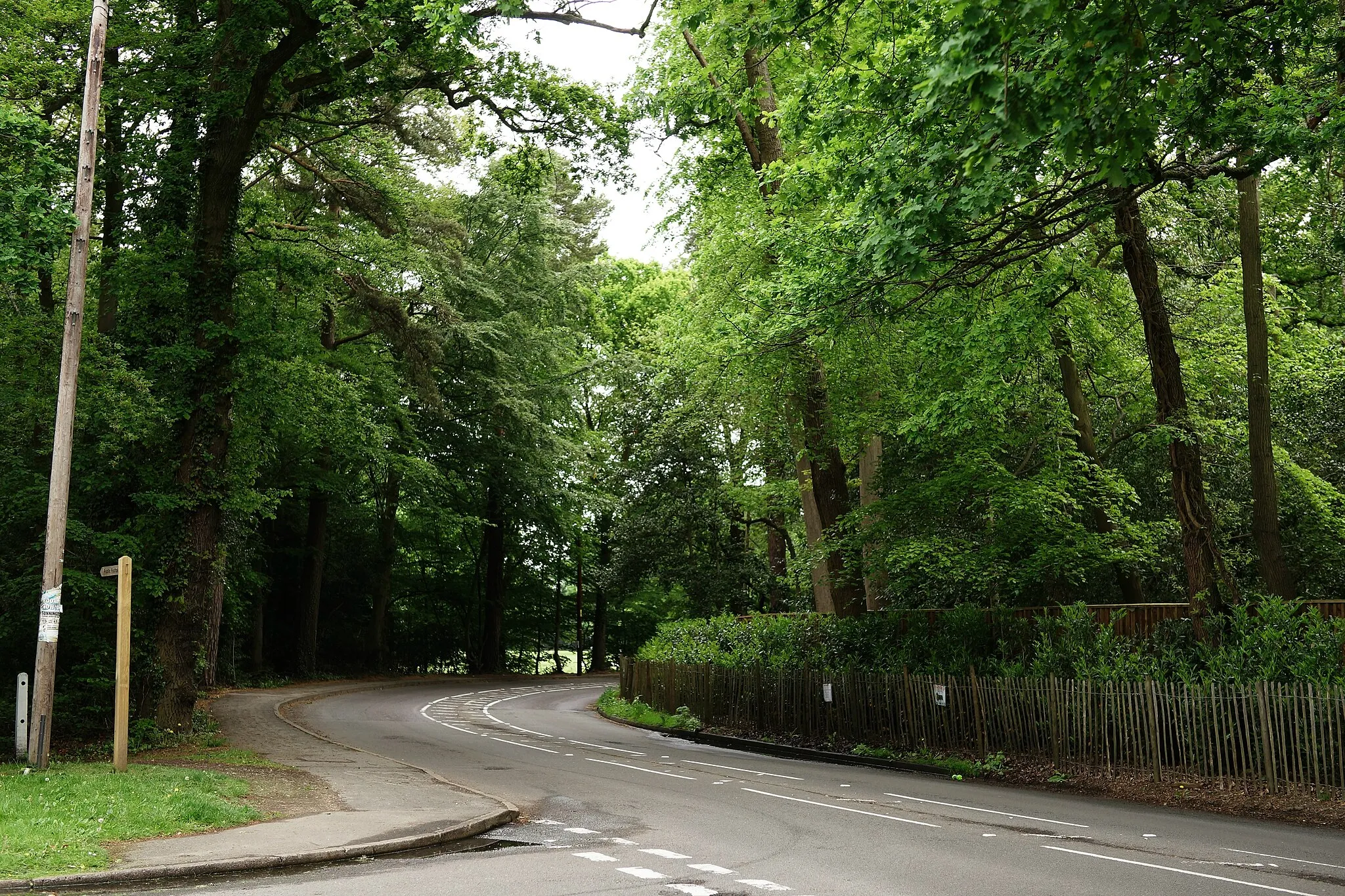 Photo showing: Kennel Lane