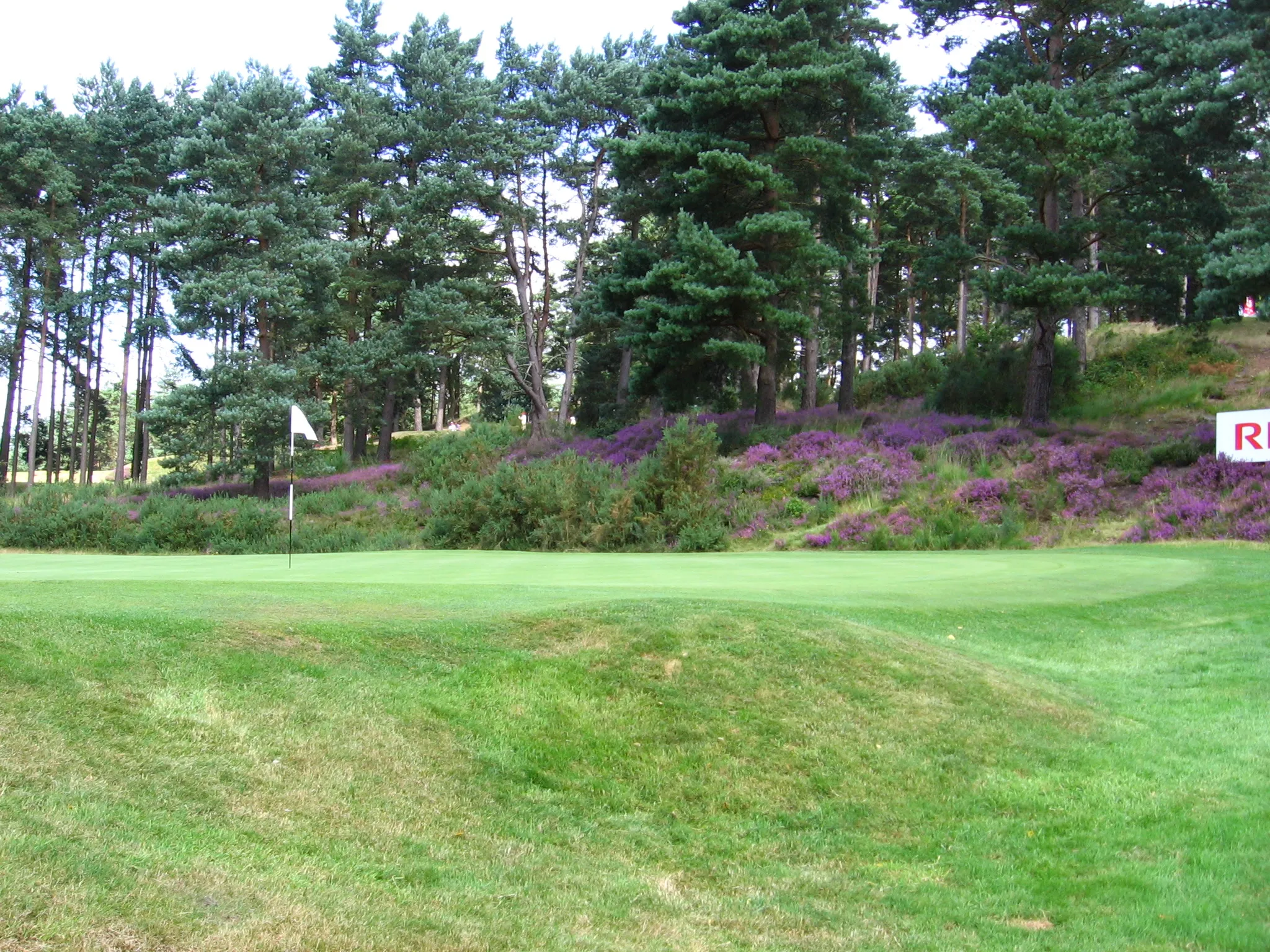 Photo showing: 12th green. 2008 WBO at Sunningdale, practice day.