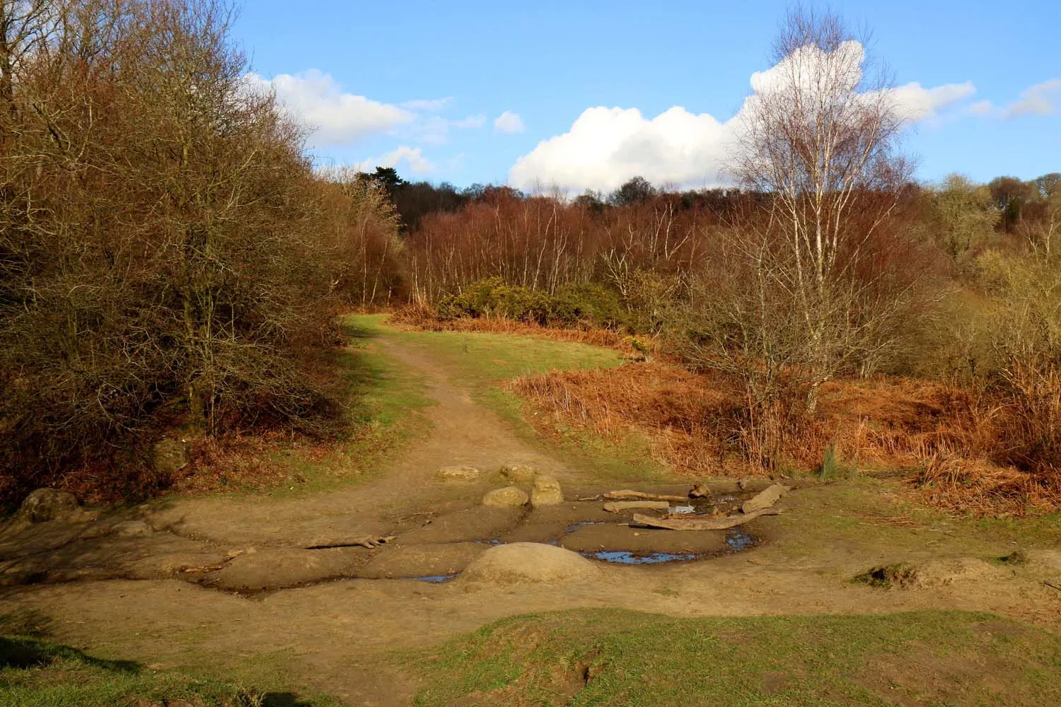 Photo showing: The Sandpit in Shotover Country Park