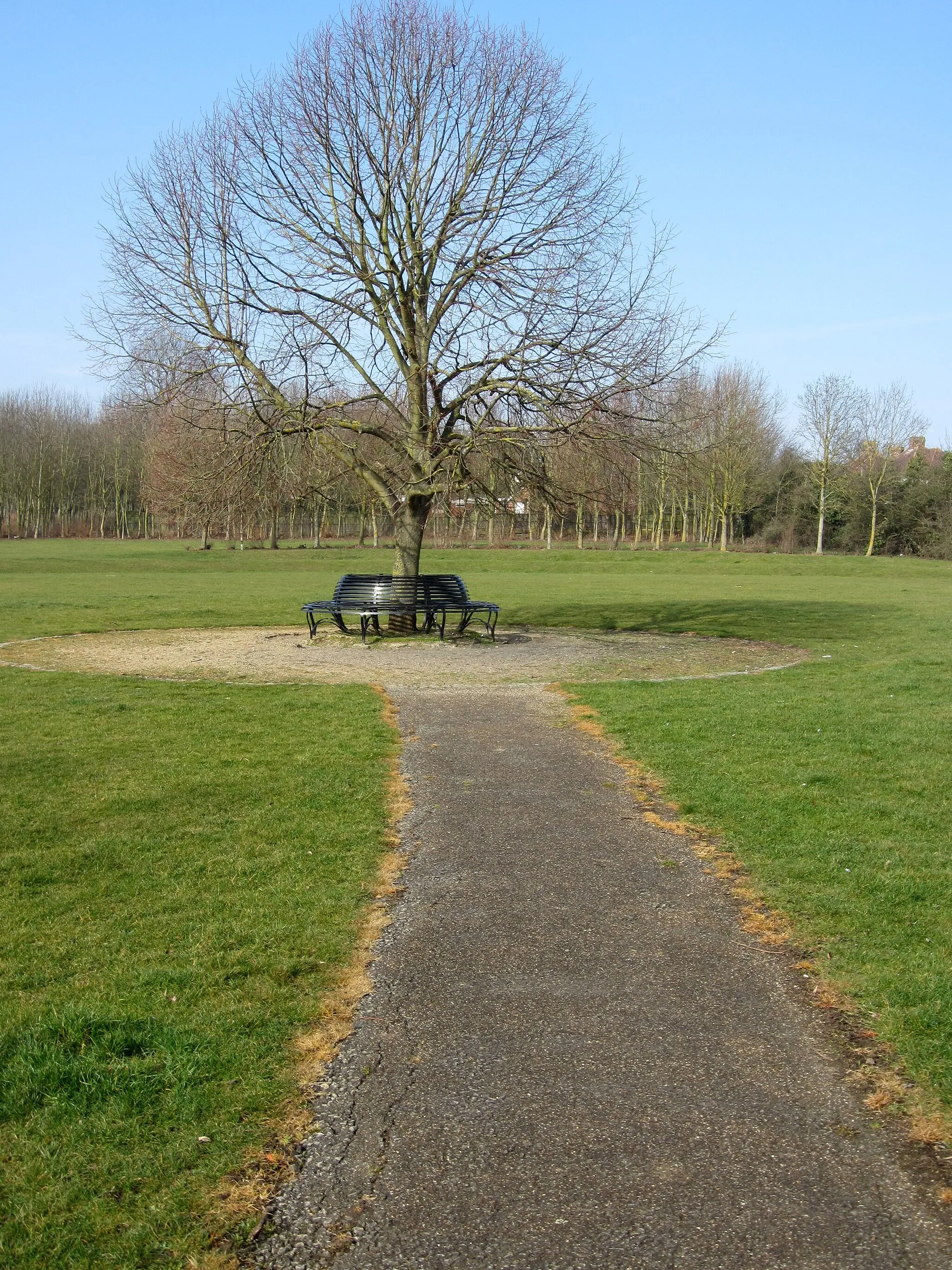 Photo showing: Circular bench in Shenley Brook End Park
