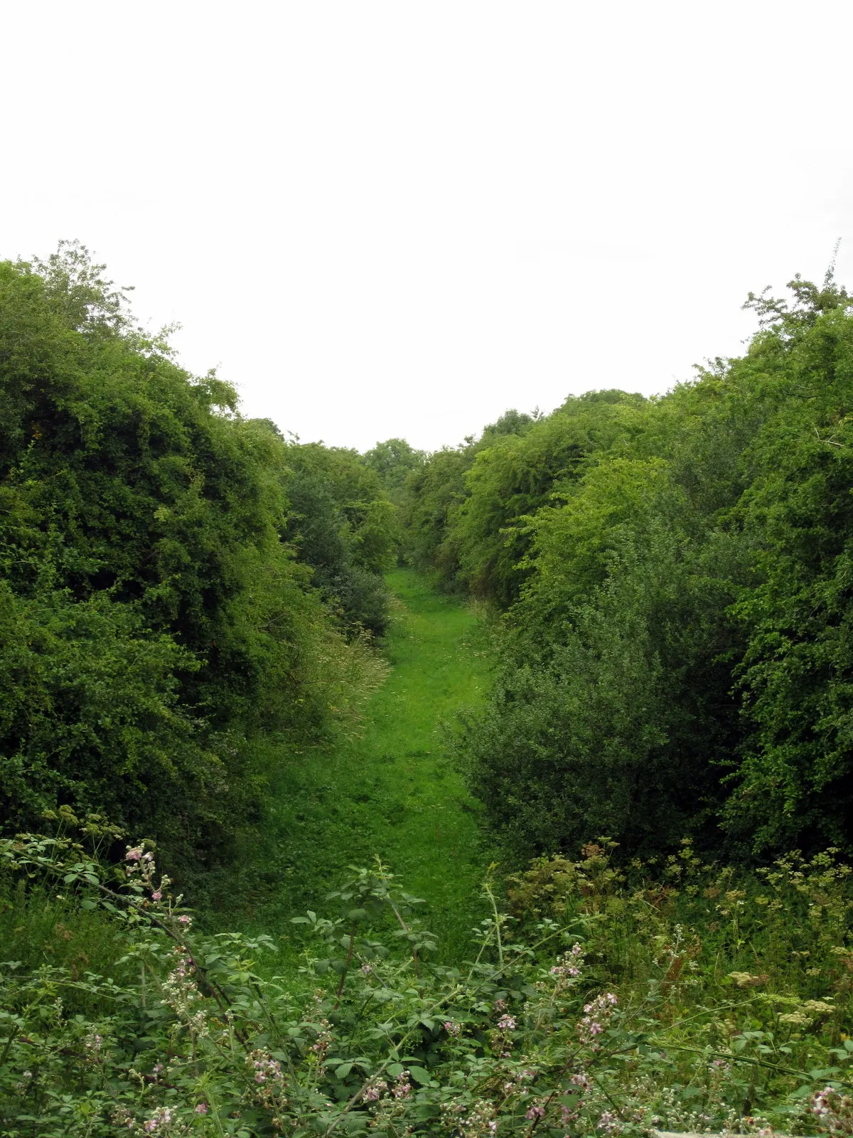 Photo showing: Course of dismantled railway