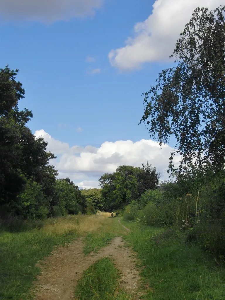 Photo showing: 'Course of old railway', below the Chiltern scarp