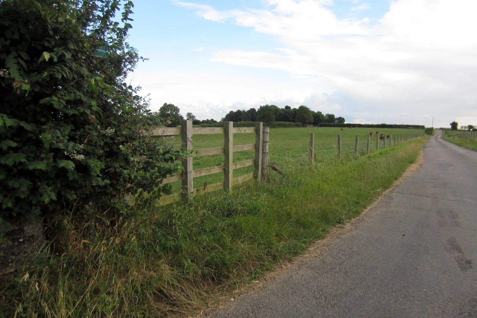 Photo showing: Bridleway and track to Manor Farm