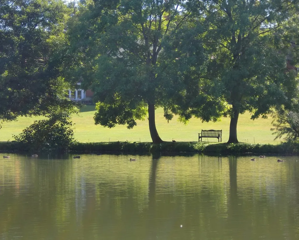 Photo showing: A riverside scene at Goring