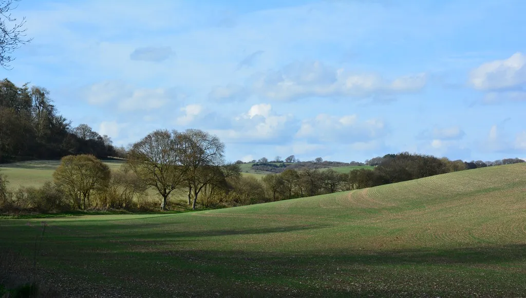 Photo showing: Dry valley in Faccombe, Hampshire