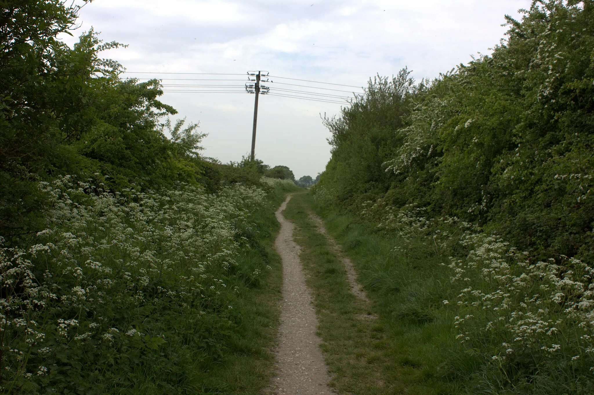 Photo showing: Bridleway after Middle Farm