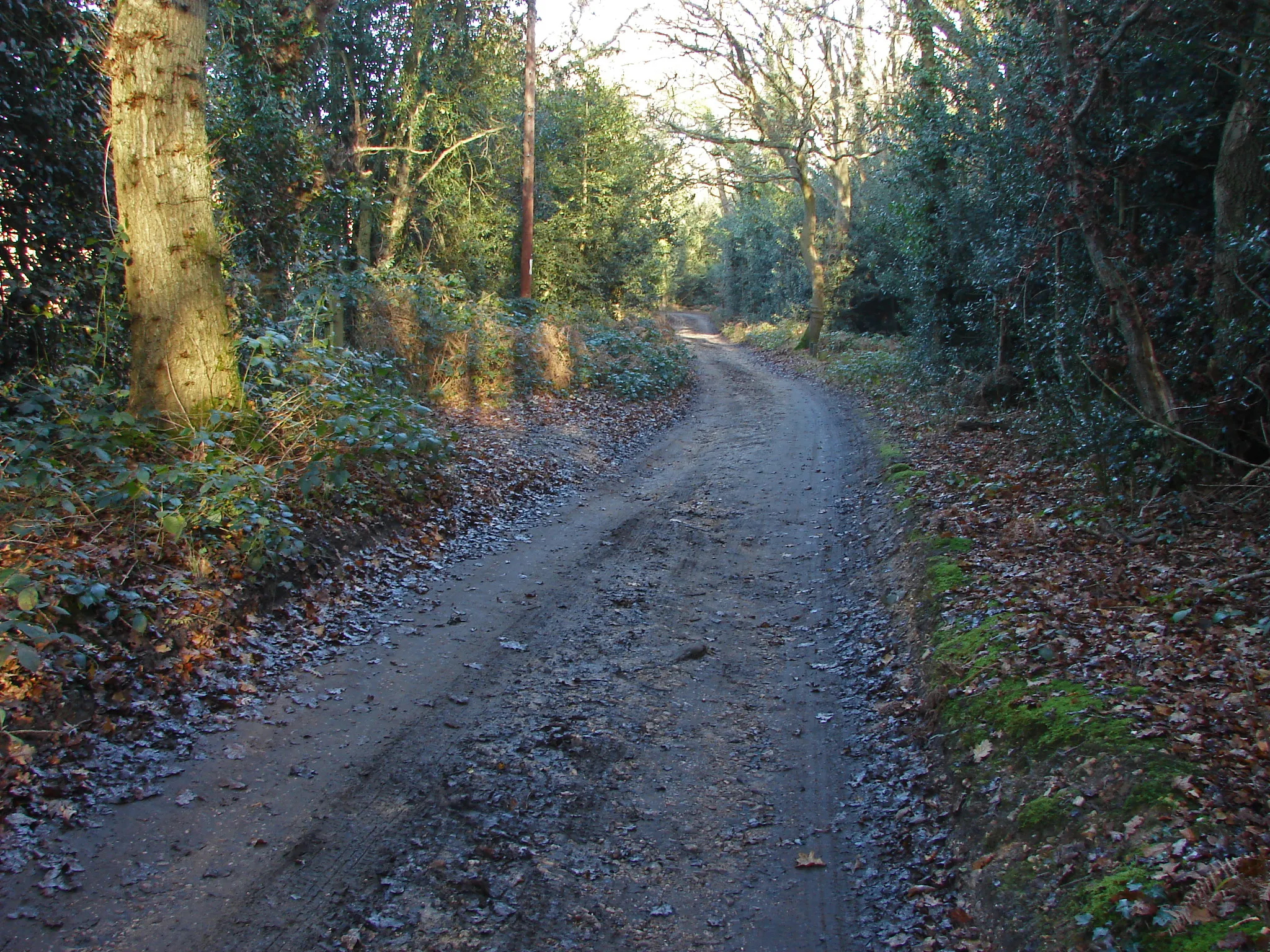 Photo showing: Access road, Yateley Common