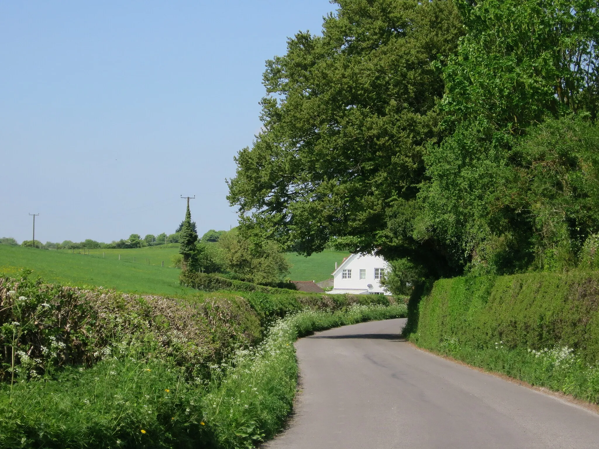 Photo showing: Brimmers Hill