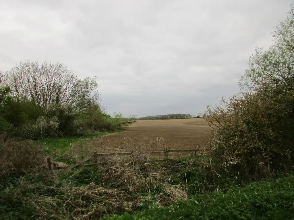 Photo showing: Field by a stream off Helmdon Road