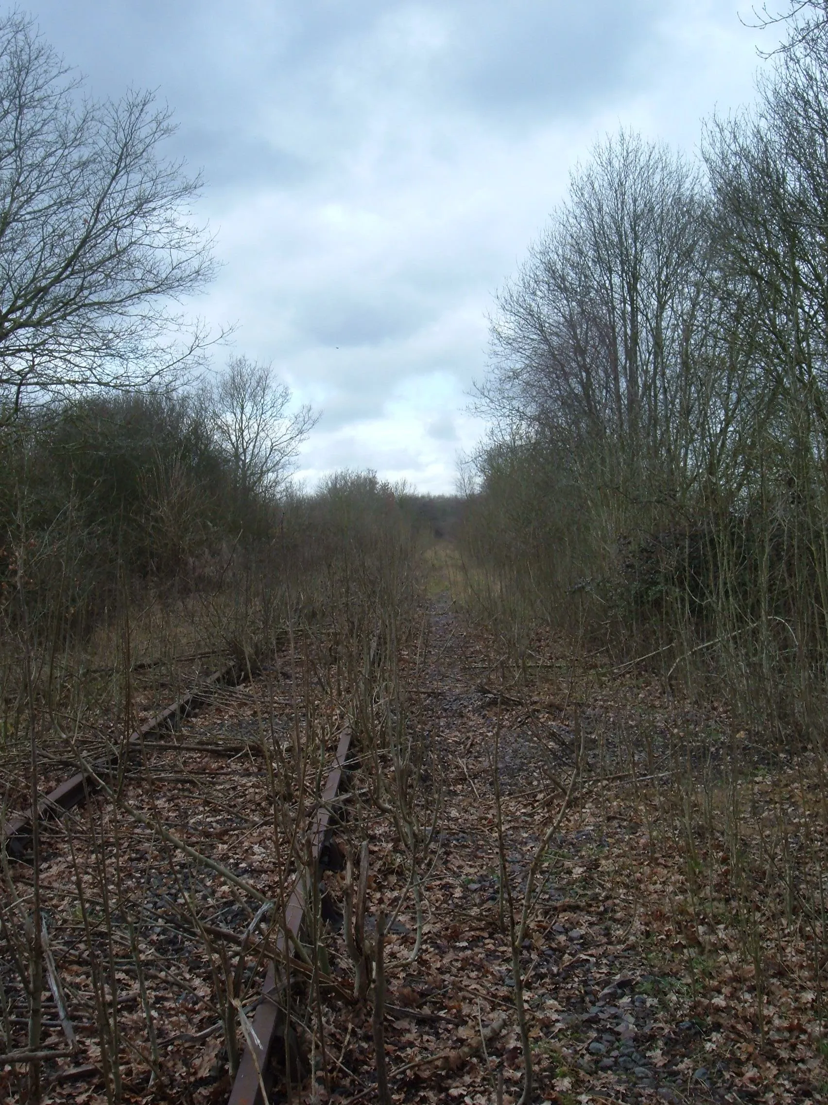 Photo showing: Disused Railway Line Looking towards Verney Junction from the bridge just outside the entrance to Furzen Farm.