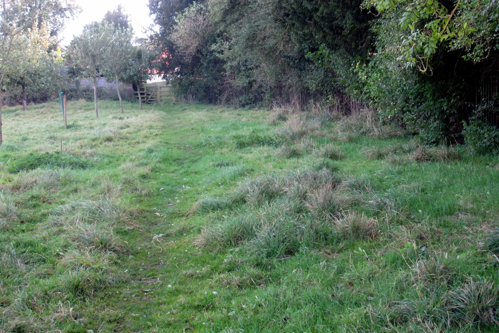 Photo showing: Path into the village