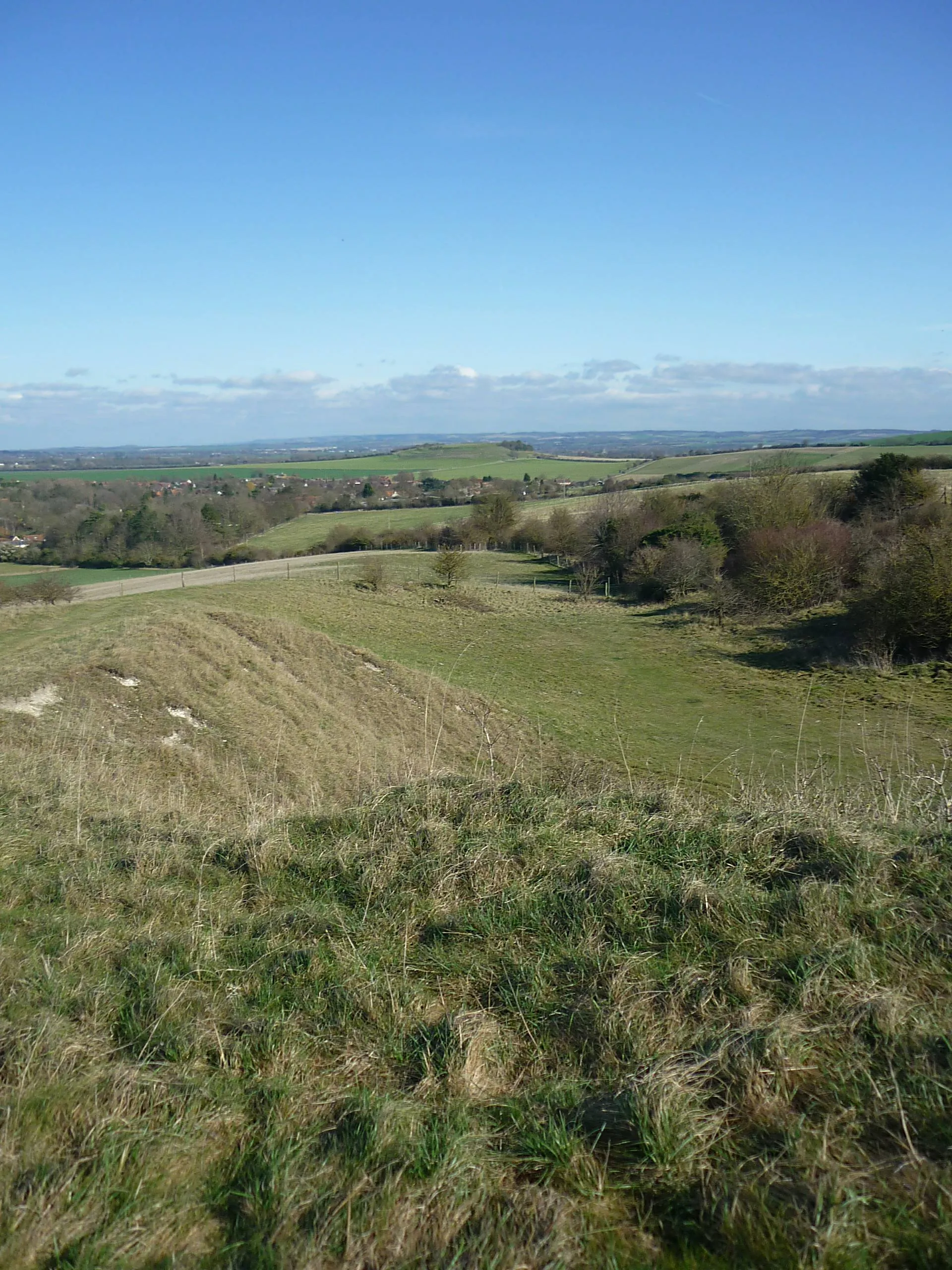 Photo showing: Chalk Pit at Blewbury