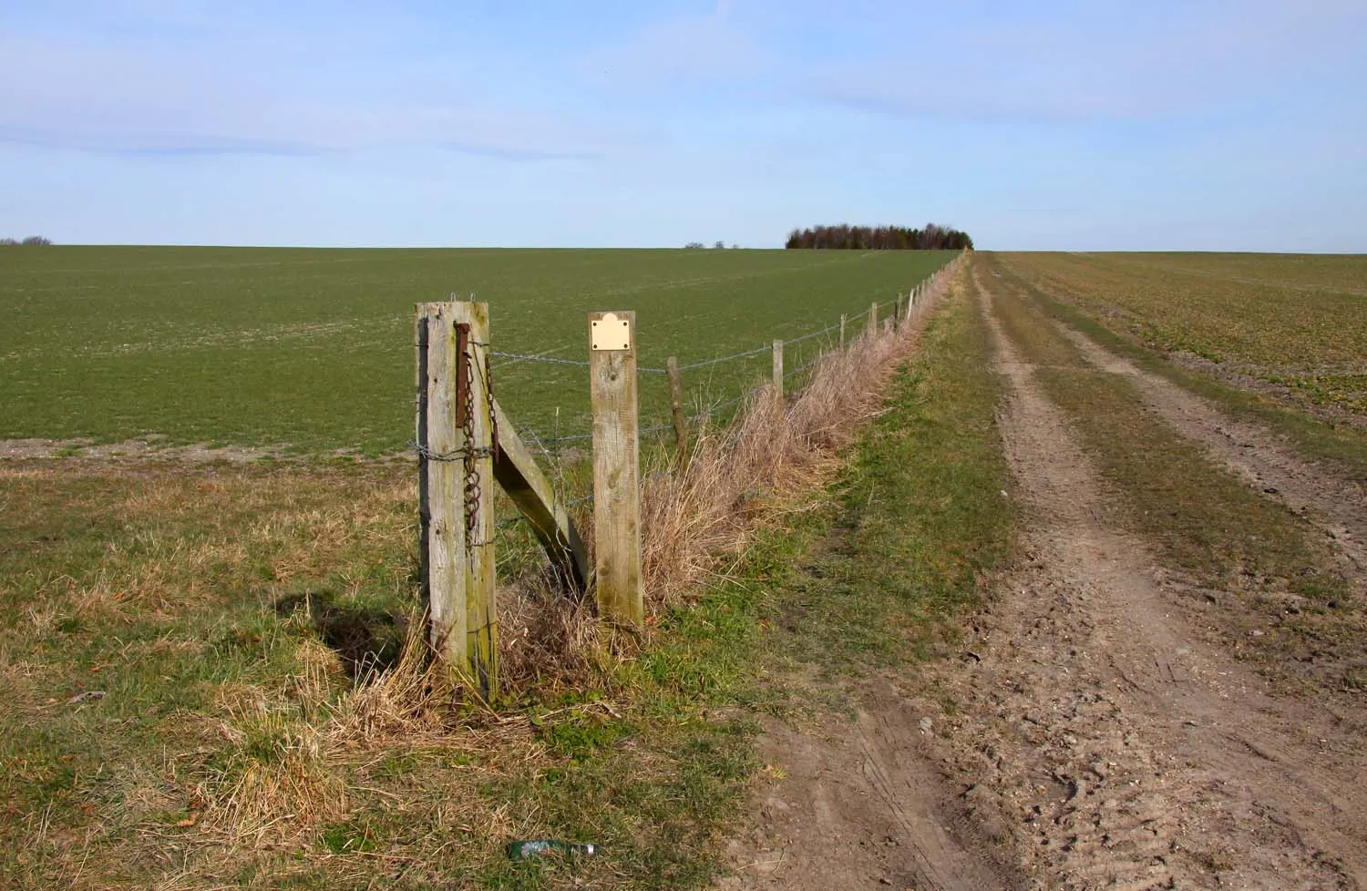 Photo showing: Farm track at West Ginge