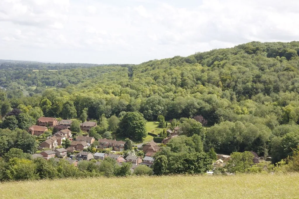 Photo showing: Houses on Streatley Hill