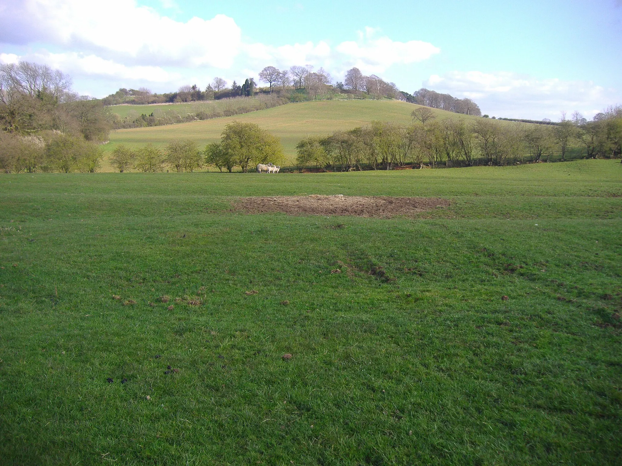 Photo showing: A Digital photograph of Arbury Hill, the highest point in the county of Northamptonshire.