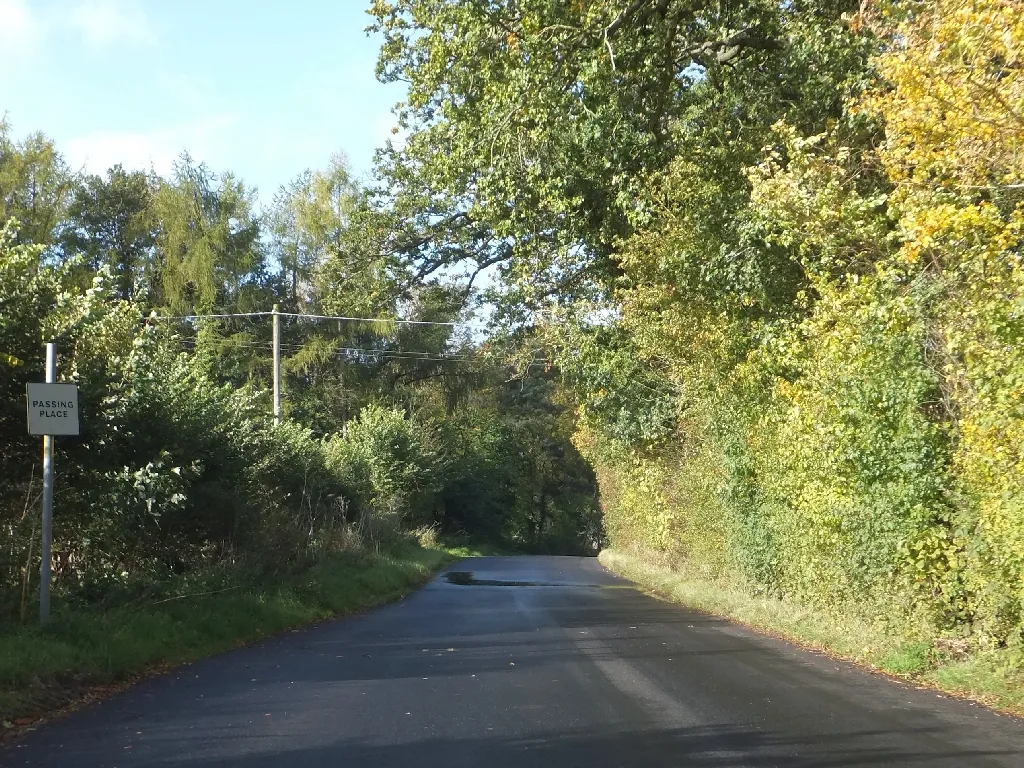 Photo showing: Passing place on Bycell Road west of Lillingstone Dayrell