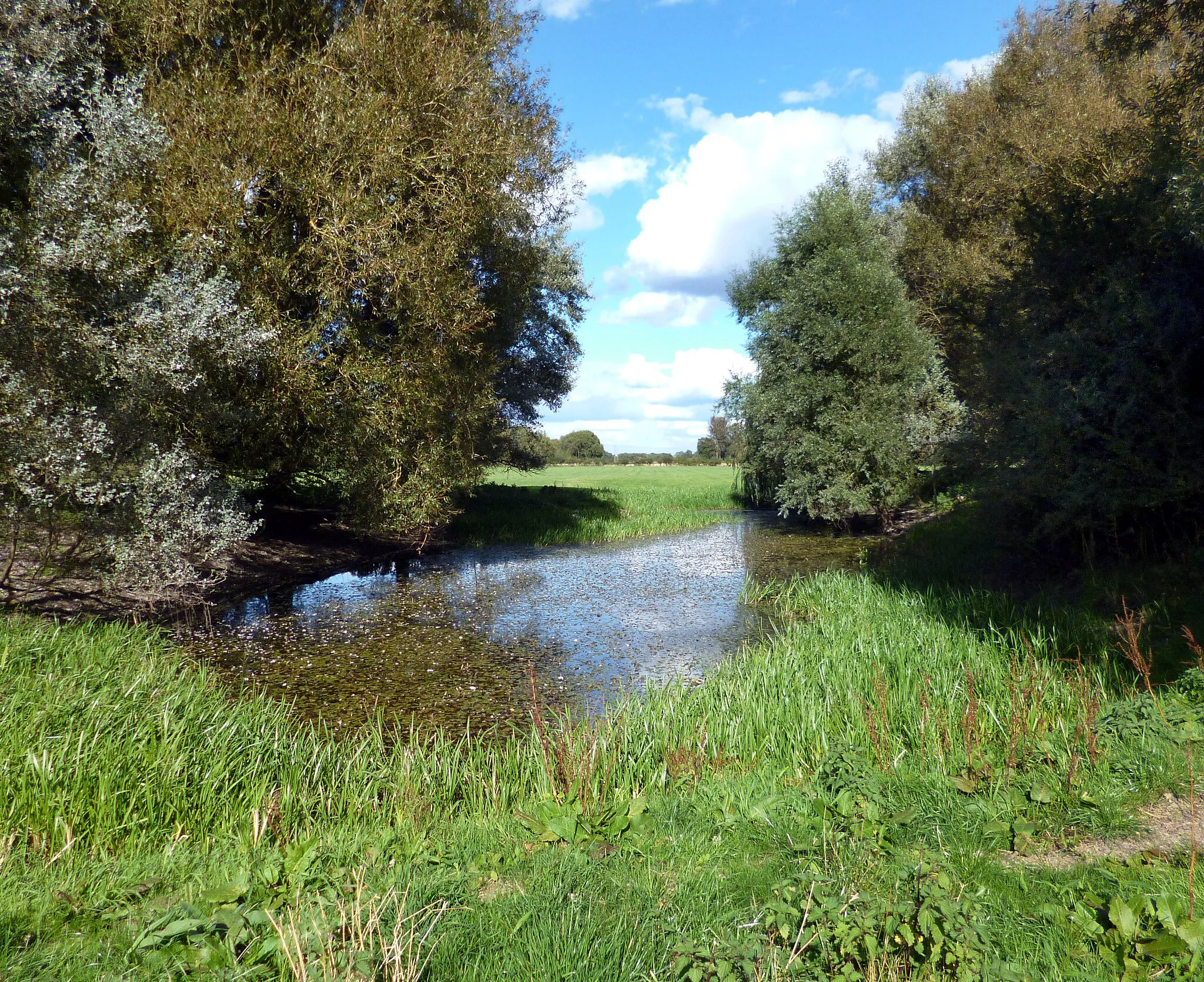 Photo showing: A Pond in a Field