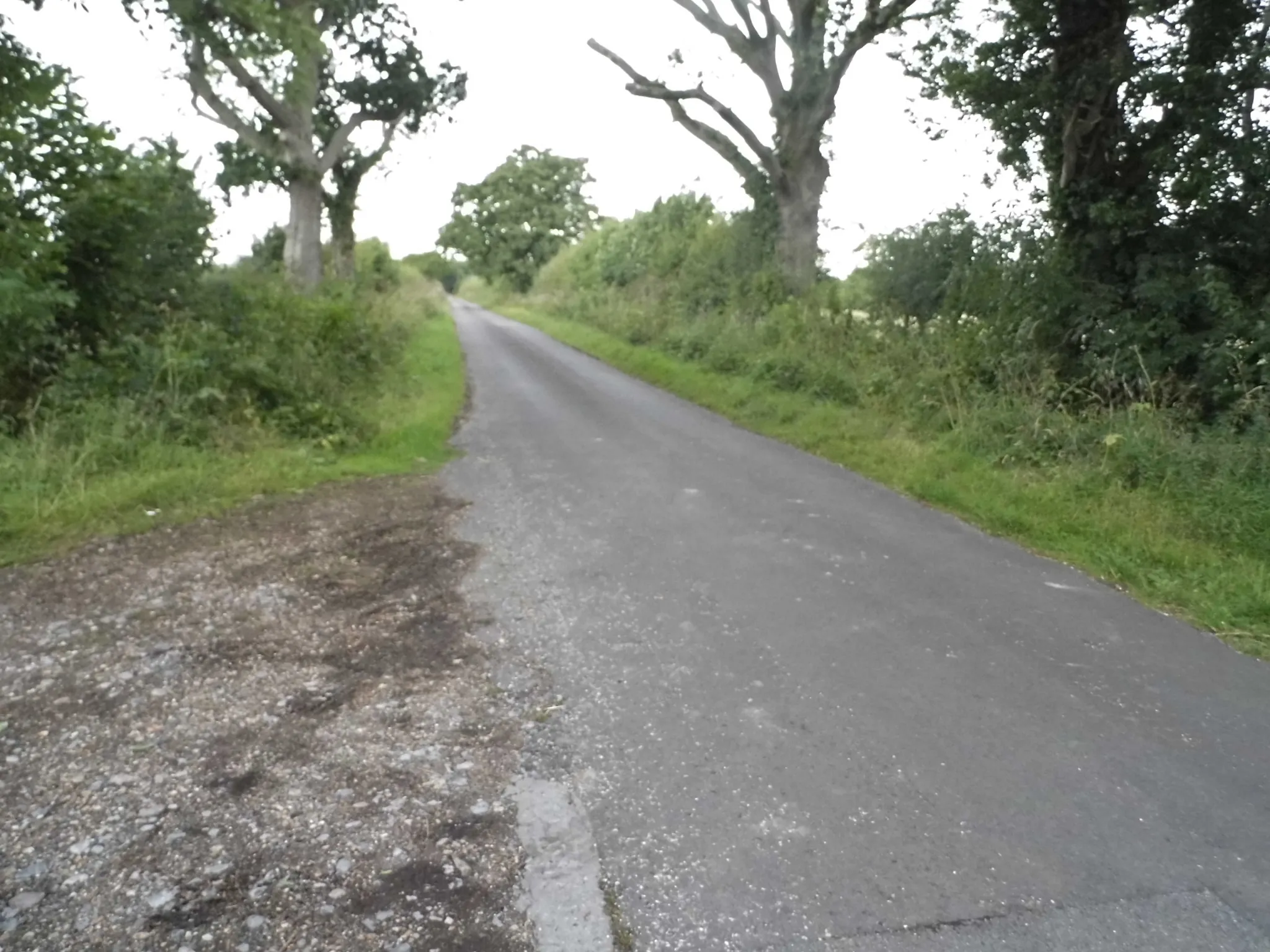 Photo showing: Unnamed Road in Wickham Heath