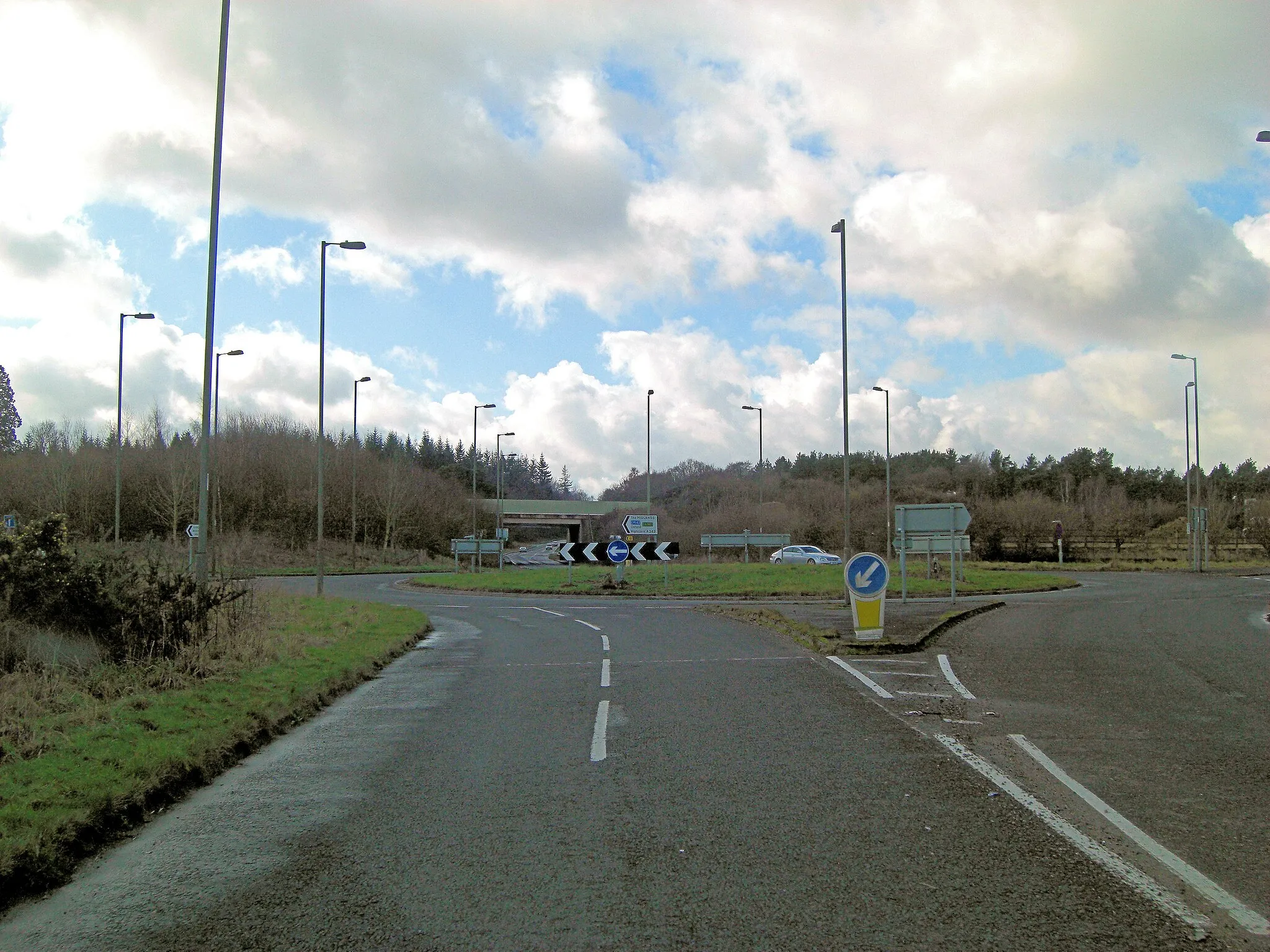 Photo showing: A Hampshire forest - of lamp standards