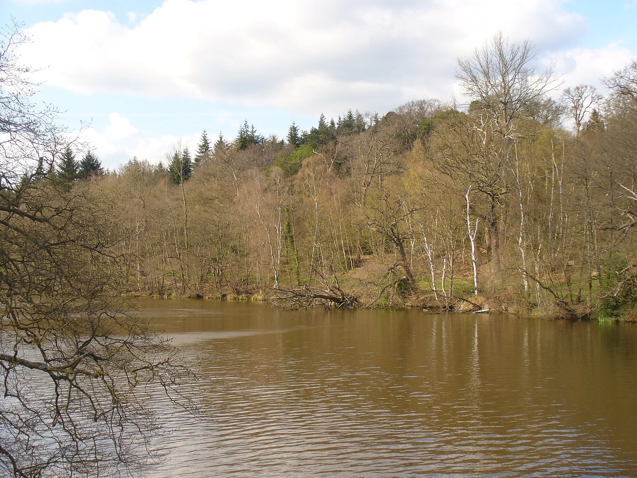 Photo showing: American Clump from Five Arch Bridge View across an arm of Virginia Water to a wooded hill in Windsor Great Park.
http://www.theroyallandscape.co.uk/