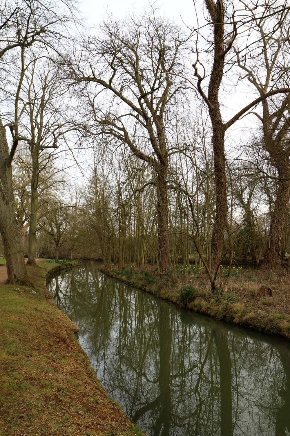Photo showing: The River Cherwell in Oxford