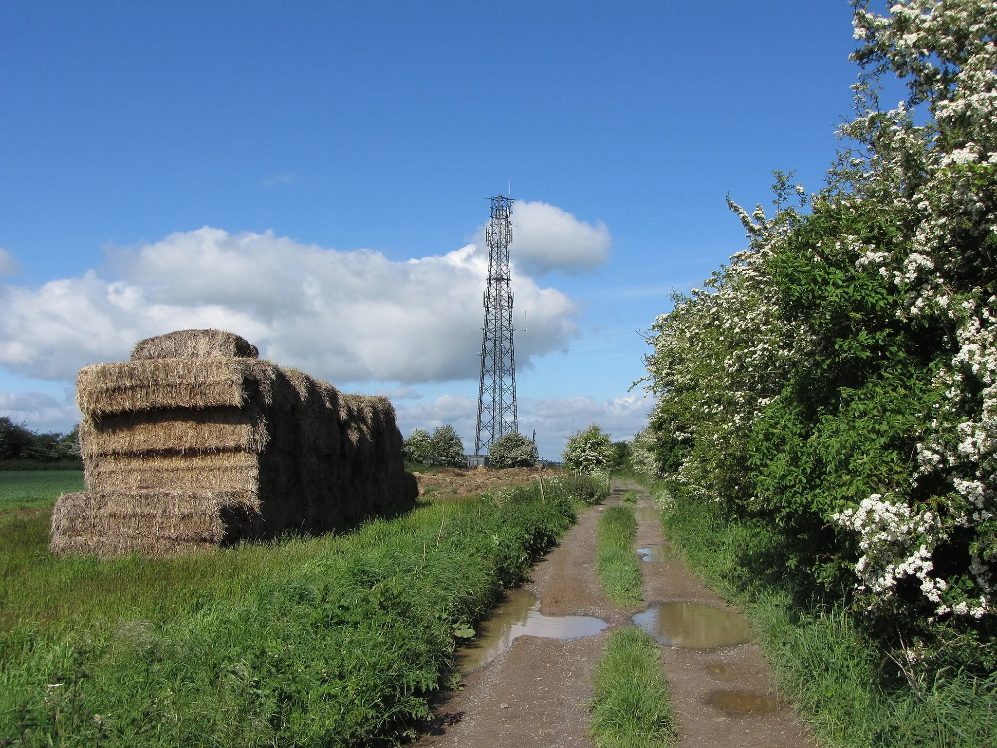 Photo showing: Path on Whitefield Hill