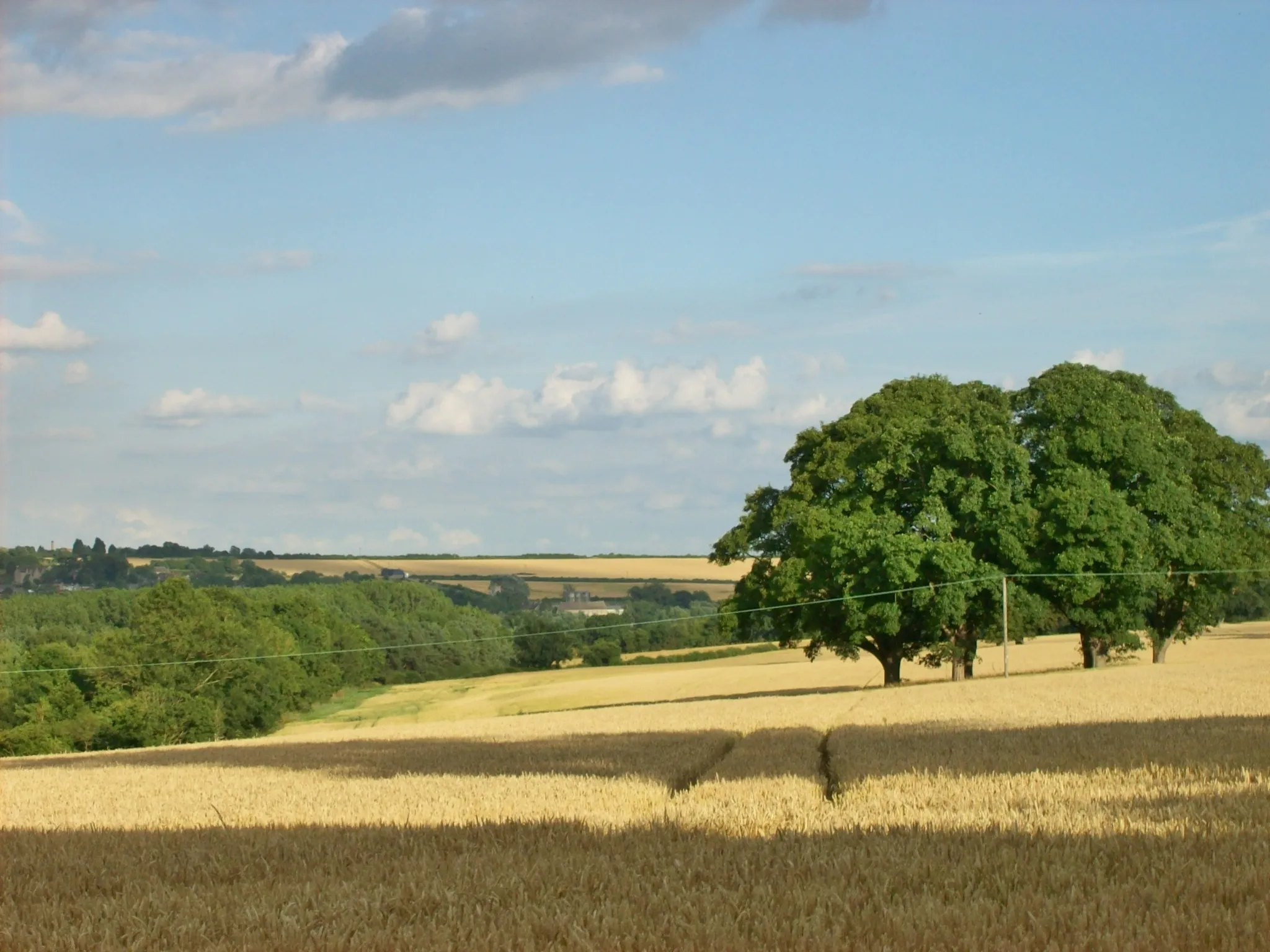 Photo showing: Fields at Middle Aston