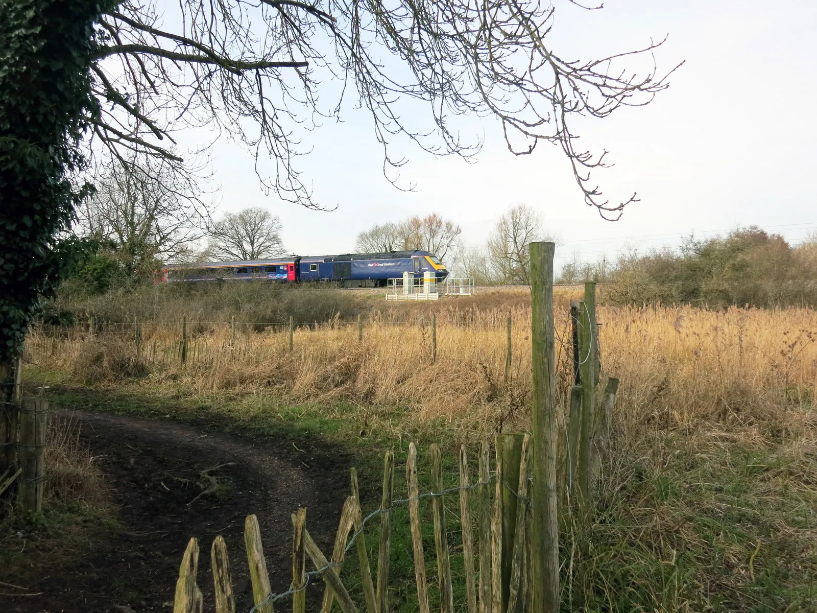 Photo showing: Reed Beds and Railway