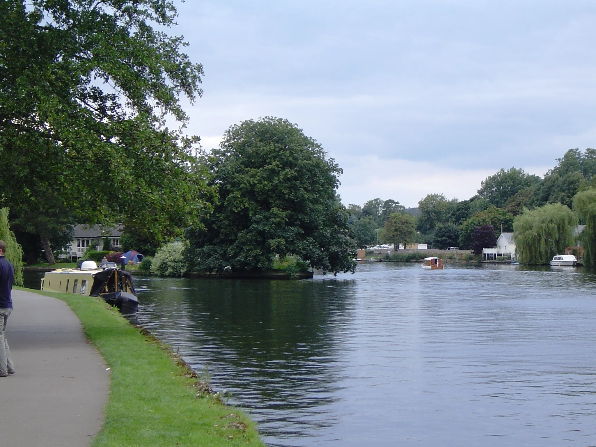 Photo showing: Rod Eyot River Thames from upstream