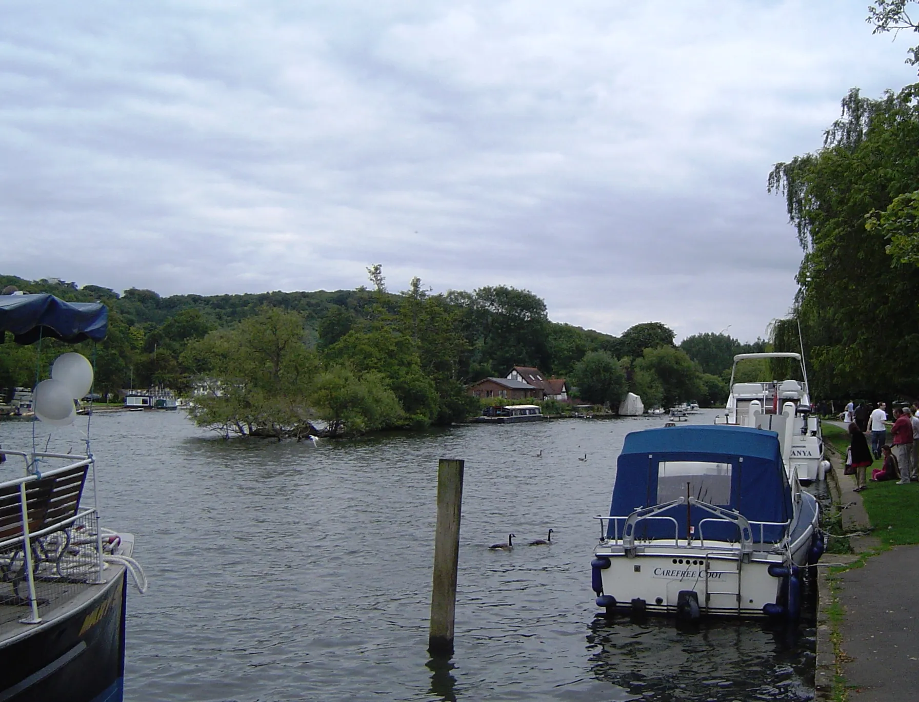 Photo showing: Rod Eyot near Henley on the River Thames