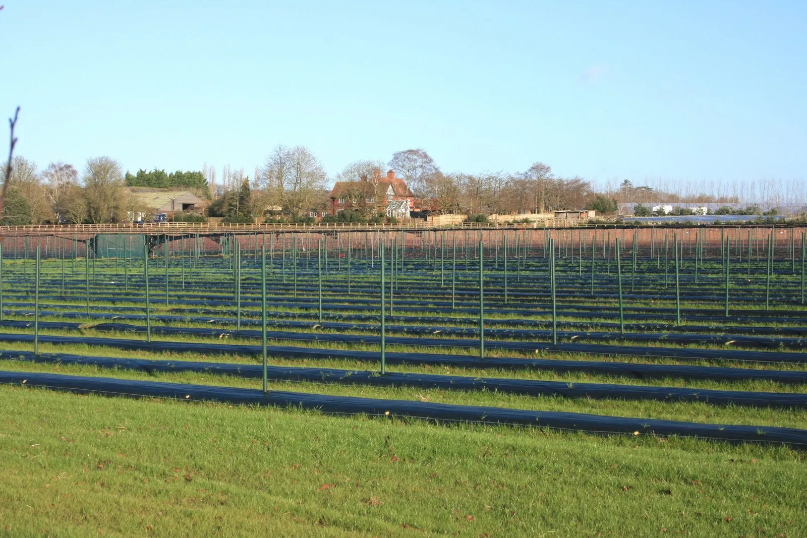 Photo showing: Complicated Cultivation on Sheeplands Farm