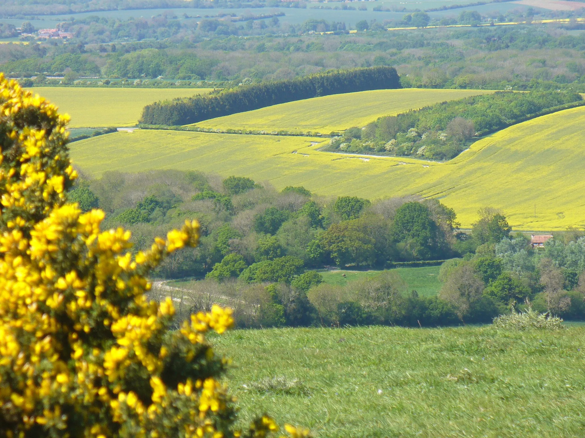 Photo showing: Below Inkpen Hill. View from west of Combe Gibbet to the mix of fields and woodland far below the steep downland scarp slope, in the civil parish of Inkpen.