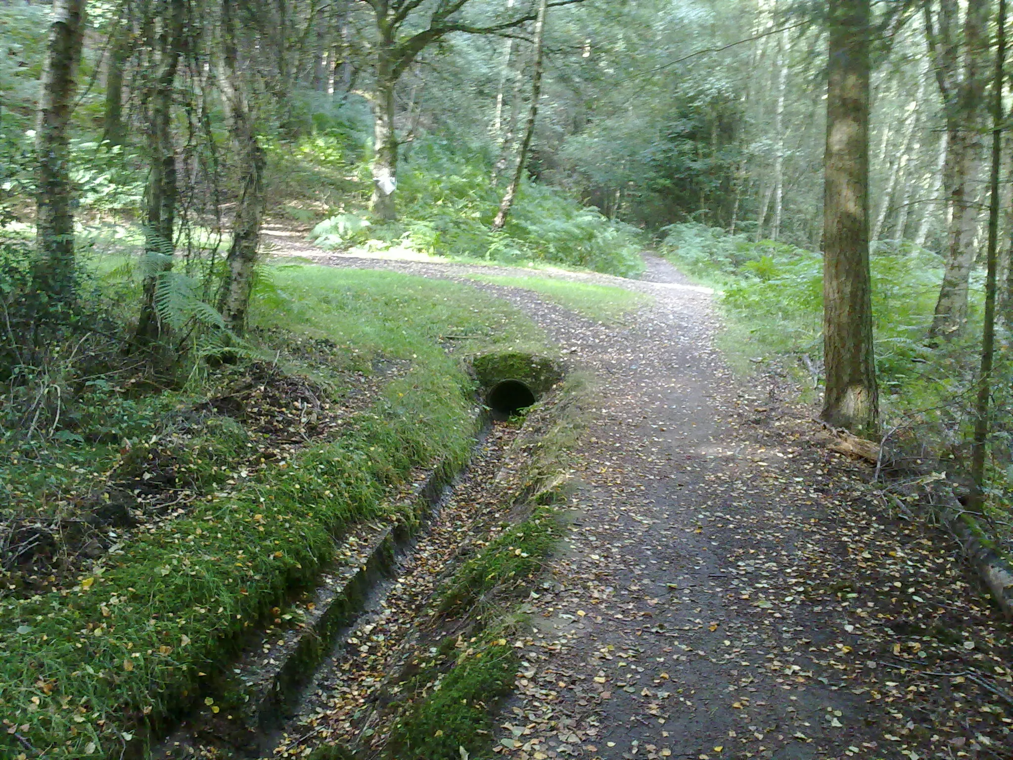 Photo showing: A levada