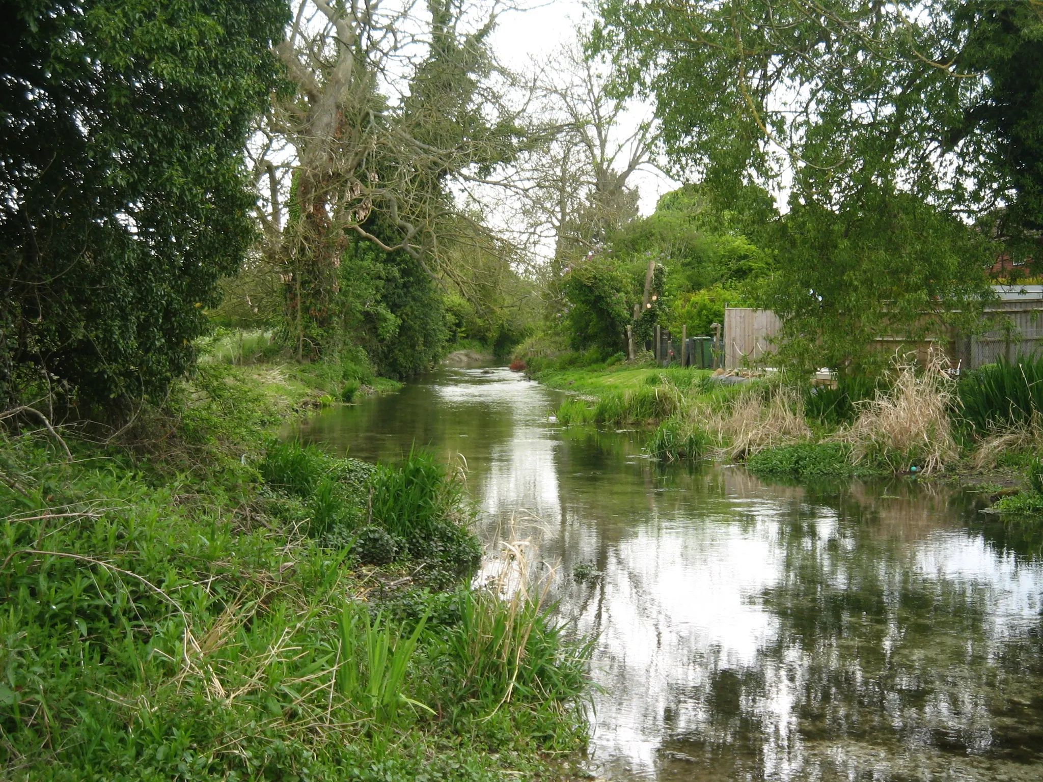 Photo showing: The River Lambourne leaving Lambourne, Berkshire