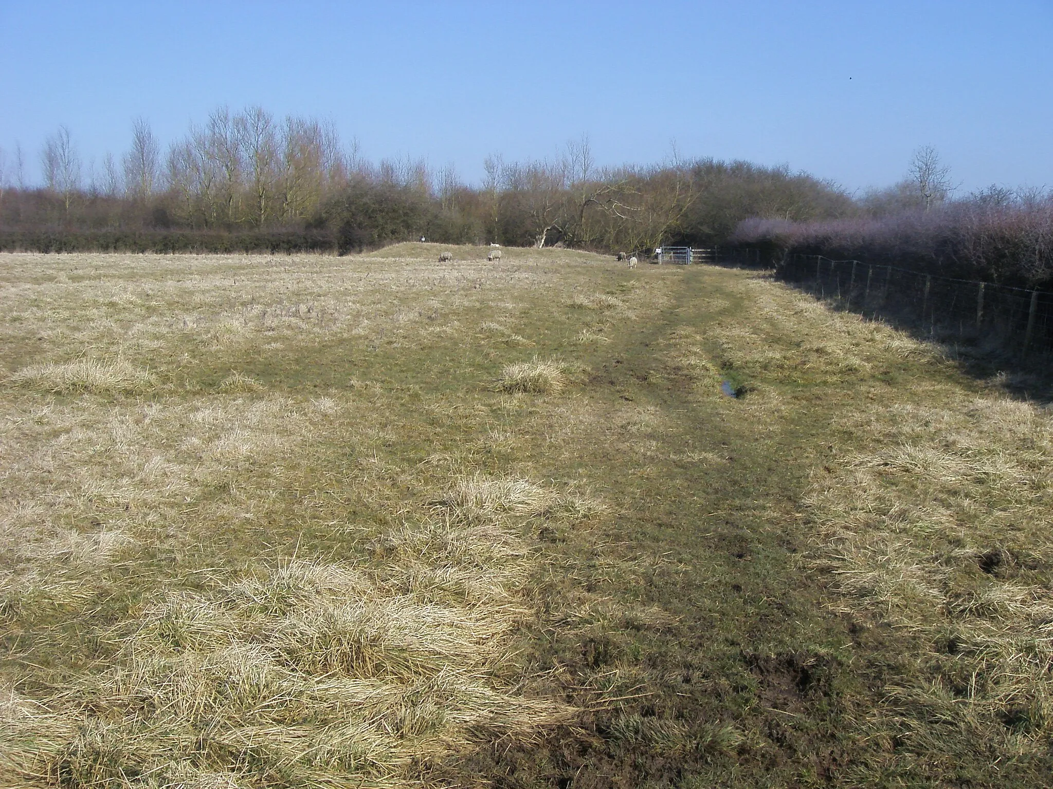 Photo showing: Bridleway heading to Prune Farm Cottages Bridleway from Grendon Underwood heading to Prune Farm Cottages