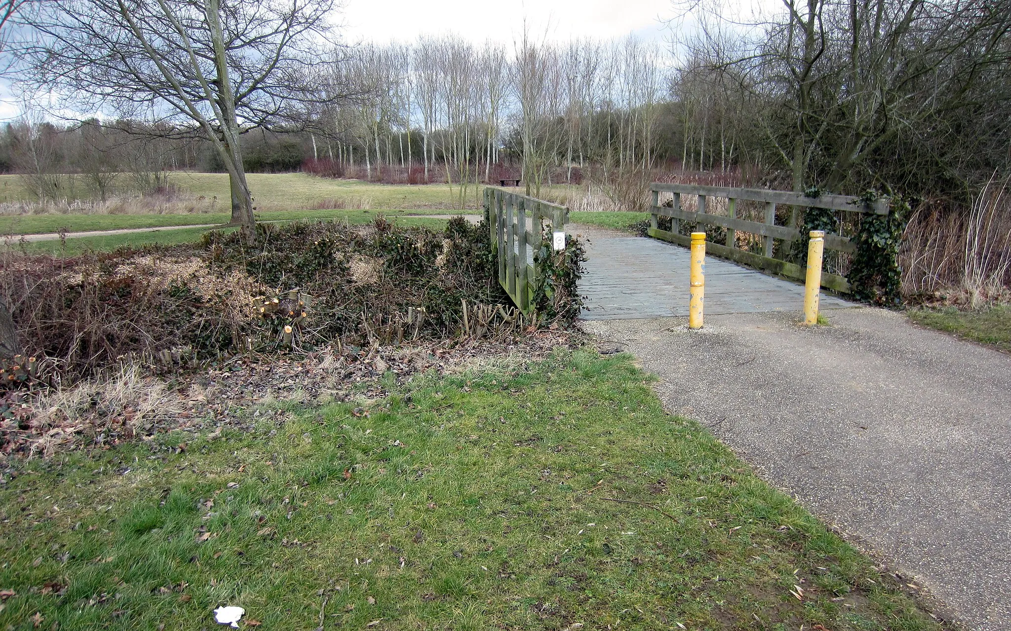 Photo showing: Footbridge in the linear park