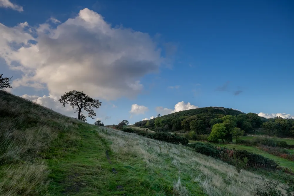 Photo showing: Pathway towards Nab Hill