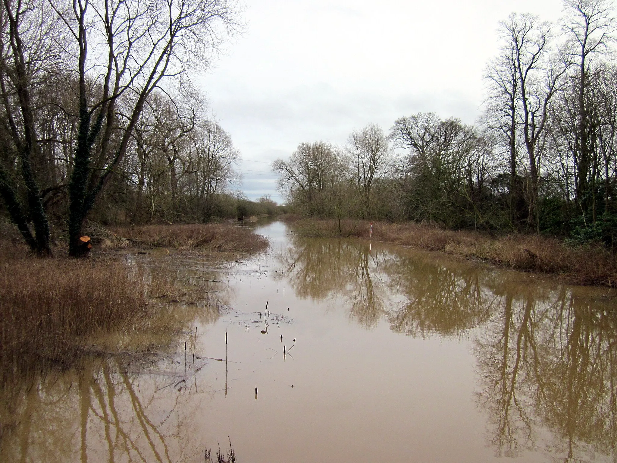 Photo showing: Aldford Brook in Flood