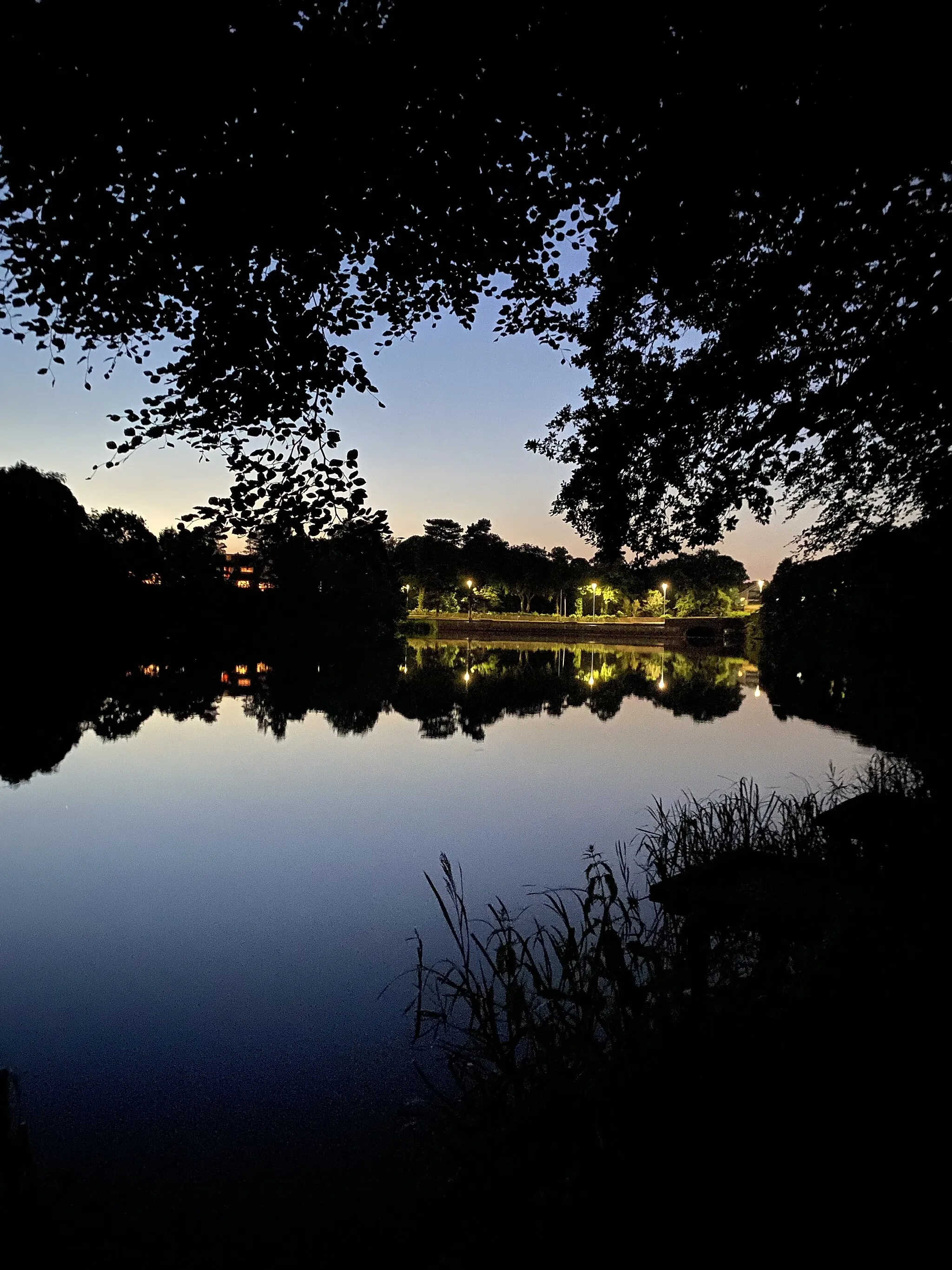 Photo showing: Taken in the evening, 22nd June, 2021. Shown- Lymm Dam from the bank