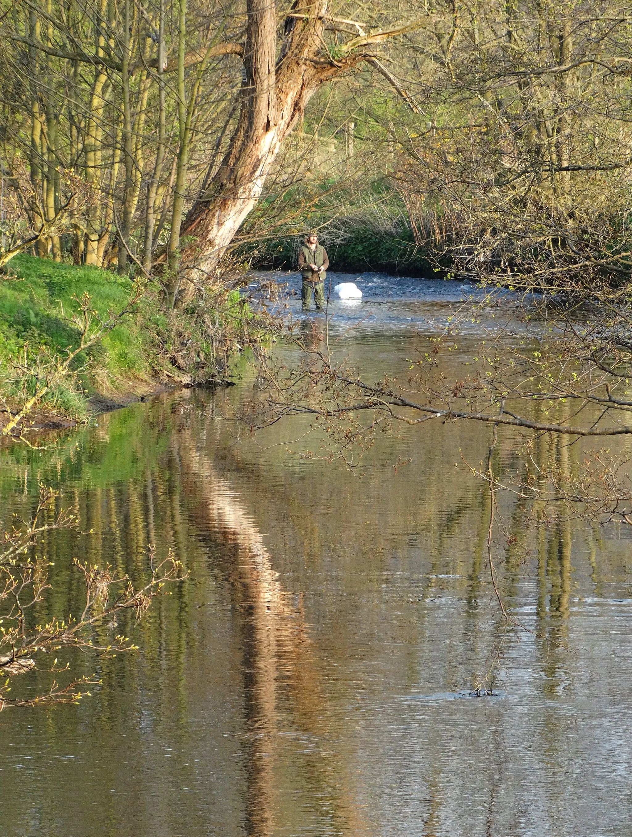 Photo showing: Fishing in The River Goyt at Hague Bar