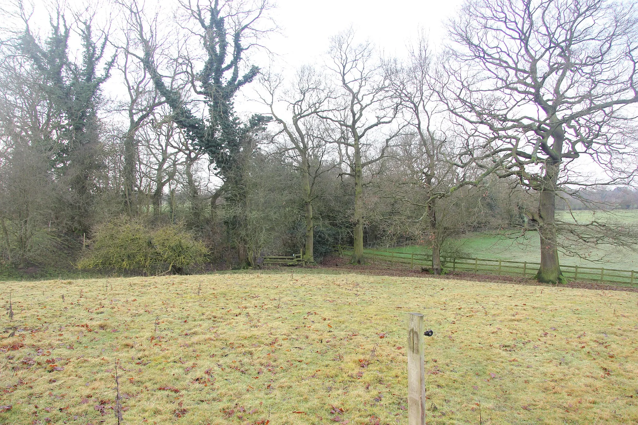 Photo showing: Approaching the footpaths' junction