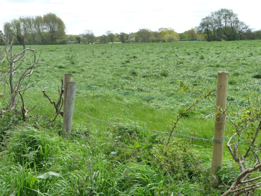 Photo showing: Barbed wire fence alongside the B5082