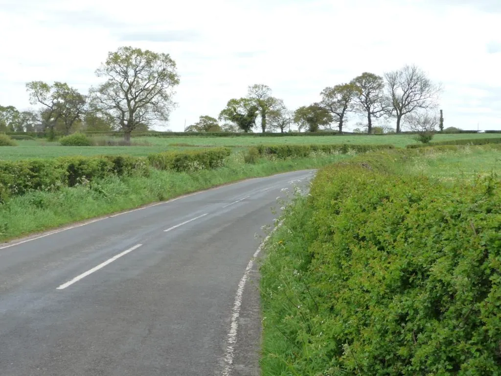 Photo showing: 32 metre spot height, on Common Lane