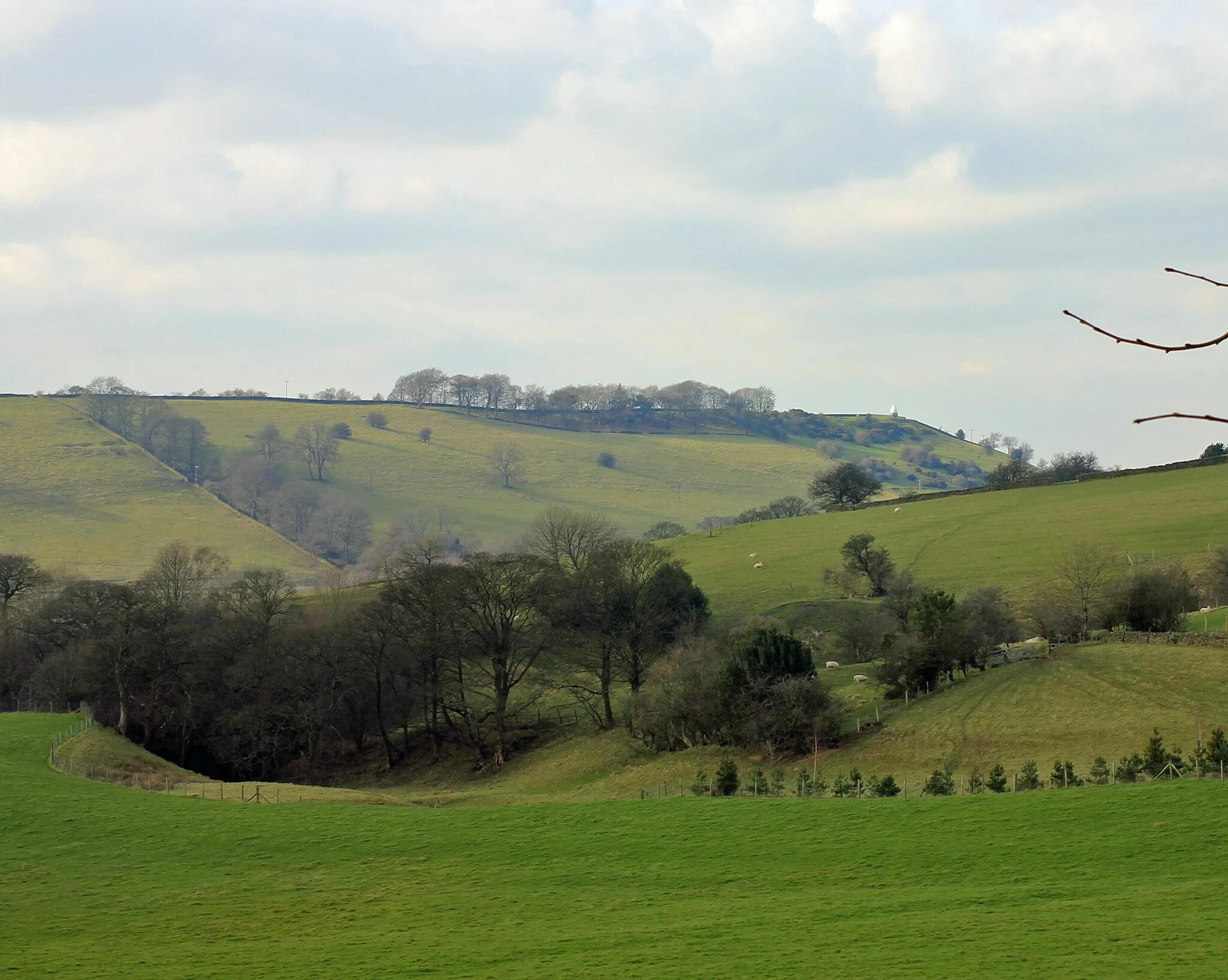 Photo showing: Hayles Clough