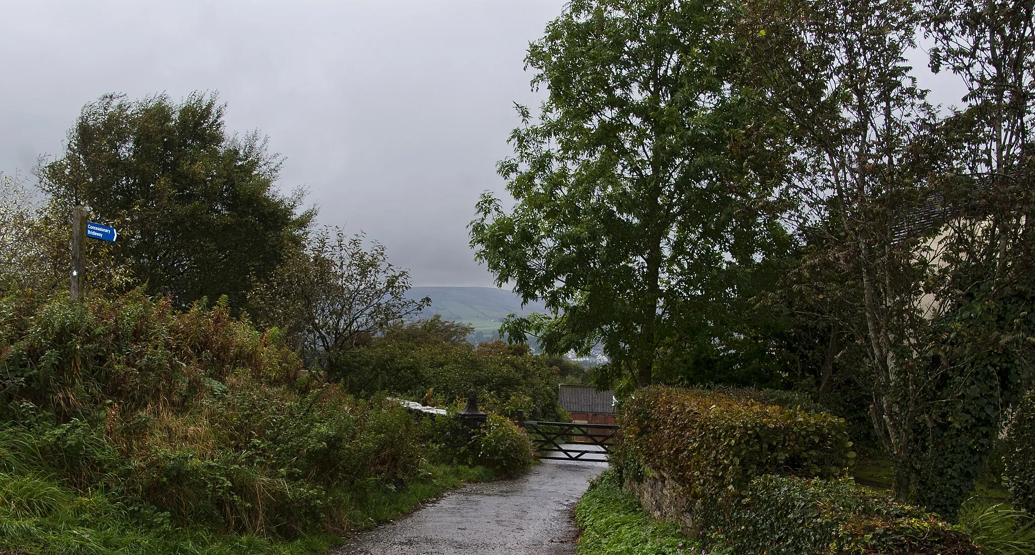 Photo showing: Concessionary bridleway