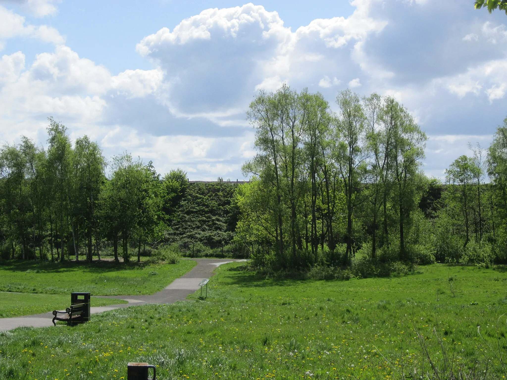 Photo showing: Alexandra Park, Pemberton, Wigan, England. Looking towards the railway embankment of the Kirkby branch line.